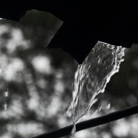 Дождь пошёл :: Юрий Гайворонскiий