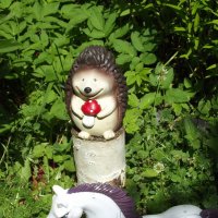 Обитатели сада :: Freddy 97