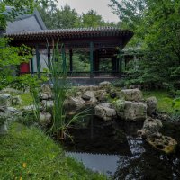 В Парке Хуамин :: юрий поляков