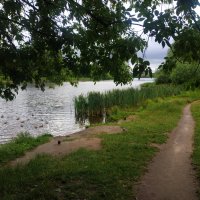 Июль уж наступил! :: Андрей Лукьянов