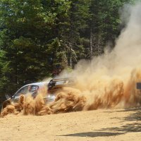 Ралли. :: Оля Богданович