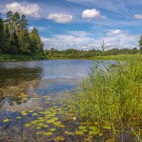 **** :: Елизавета .