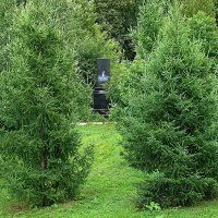 Памятник ... :: Анатолий Колосов