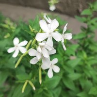 ,,, :: Сергей Тимоновский