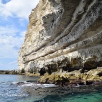 Природа Крыма :: Amazing Cosmea