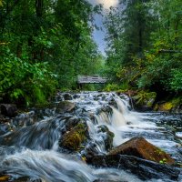 Белые мосты :: Павел Спиваков 