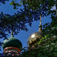 Купола Воскресенской церкви. с. Колычево :: Oleg4618 Шутченко