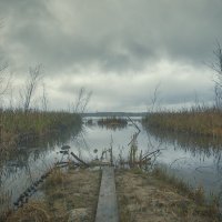 озеро :: Андрей Выровой