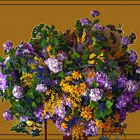 Букет природы :: Владимир Кроливец