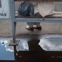 *** :: Валерий Михмель *** :: Валерий Михмель