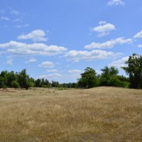 Лето в степи. :: Виктор 