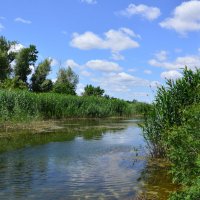 У реки. :: Виктор 