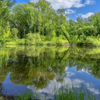 Старый пруд :: Владимир Езеров 