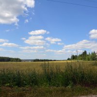 Подмосковные просторы :: Oleg4618 Шутченко