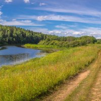 **** :: Елизавета .