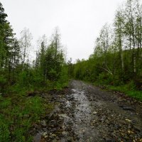 Ручеёк таёжный... :: Николай Гирш