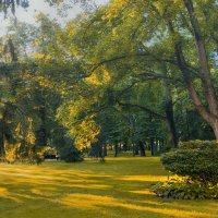 В парке вечекром :: Василий Королёв