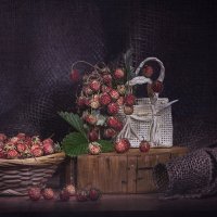 лесная клубничка :: Svetlana Galvez