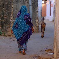 Назад домой....за животным :: Георгий А