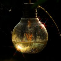 Из жизни лампочки :: Юрий. Шмаков