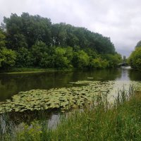 Июль наступил. Осталось дождаться наступления лета :: Андрей Лукьянов