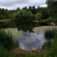 Июль наступил. Осталось дождаться наступления лета :: Андрей Лукьянов