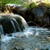 Бежал по лесу Ручеёк. :: Ирина Нафаня Бежал по лесу Ручеёк. :: Ирина Нафаня