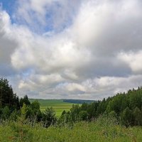 *** :: Светлана Кузнецова *** :: Светлана Кузнецова