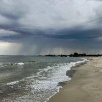 Свежесть балтики :: Олег Денисов