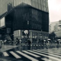 Токио... Дождь делает контуры размытыми... :: Civetta ***