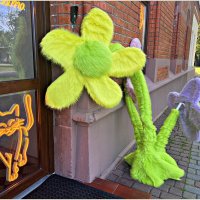 Цветы у магазина. :: Валерия Комова