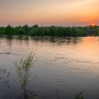 ... :: Жора Житников