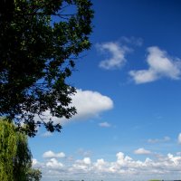 *** :: Oksana Verkhoglyad