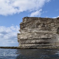 Природа Крыма :: Amazing Cosmea