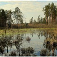 *** :: Aleksandr Gal