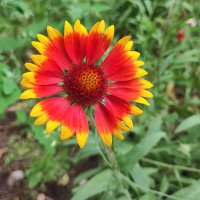 ,,, :: Сергей Тимоновский