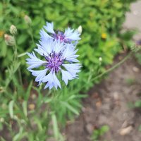 ,,, :: Сергей Тимоновский