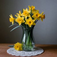 Нарциссы жёлтые :: Aleksey Afonin