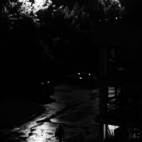 Одна. :: Василий Палий Одна. :: Василий Палий