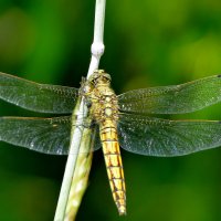 Из снятого вчера 5 :: Александр Прокудин Из снятого вчера 5 :: Александр Прокудин