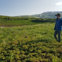 ПЛАТО ЛАГОНАКИ :: Tata Wolf