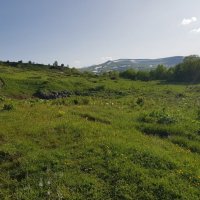 ПЛАТО ЛАГОНАКИ :: Tata Wolf