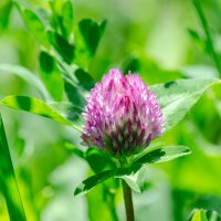 *** :: Виктор Иванович Чернюк *** :: Виктор Иванович Чернюк