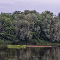Утро на Клязьме :: Сергей Цветков Утро на Клязьме :: Сергей Цветков