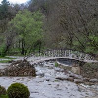 Курортный парк. Мостик Дамский каприз через речку Ольховку :: Gen 