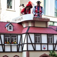 Rosenmontag 2025 :: Олег Зак