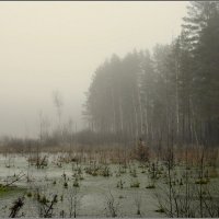 Пришел туман :: Aleksandr Gal