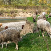 На берегу реки Уруп :: Игорь Сикорский