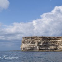 Природа Крыма :: Amazing Cosmea Природа Крыма :: Amazing Cosmea