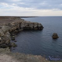 Природа Крыма :: Amazing Cosmea